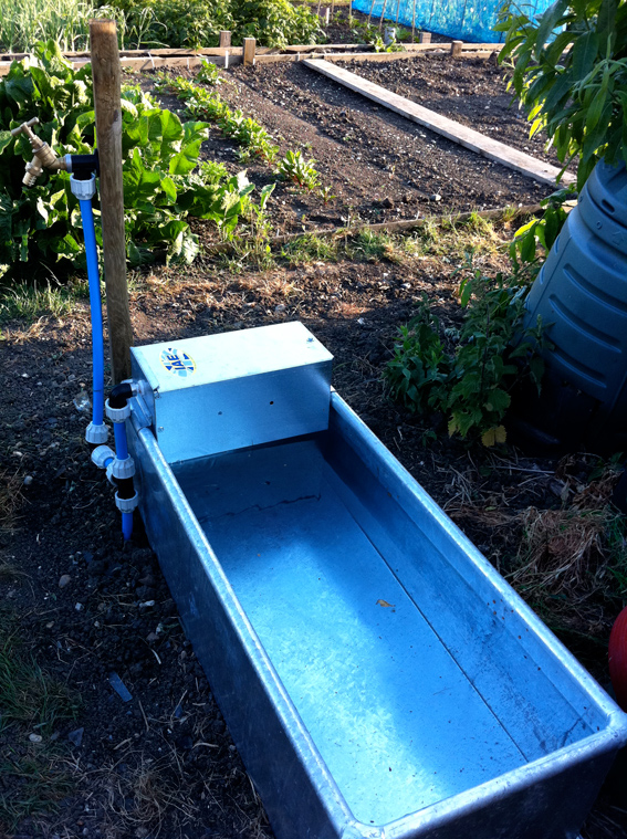 Allotment water trough
