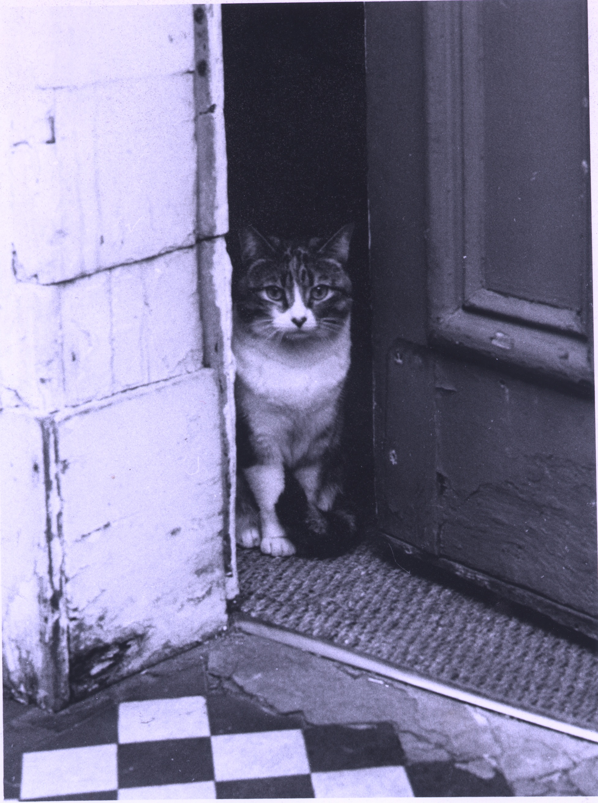 Ruby in Rugby Street